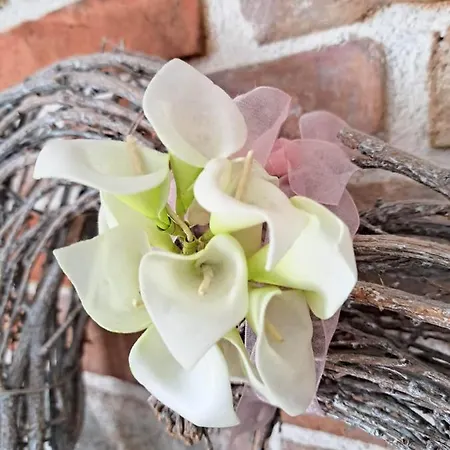 Kala Casa de hóspedes